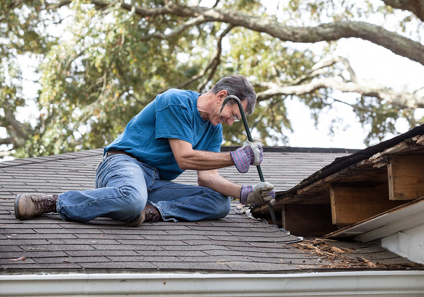 Man using crowbar to remove rotten wood from leaky roof. After removing fascia boards he has discovered that the leak has extended into the beams and decking.